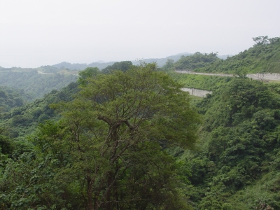 玉長公路貫穿了花東海岸山脈,頗有高山景觀道路的架勢!